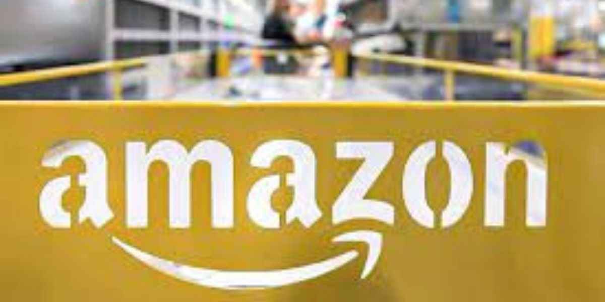 Amazon is offering internship opportunity as Programmer Analyst